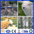 Good quality deer fence/hinge joint iron wire fencing/grassland fence